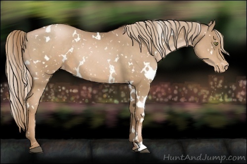 Horse Color:White Spotted Liver Chestnut Pearl Snowflake Varnish 