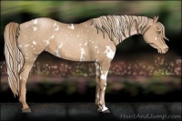 Horse Color:White Spotted Liver Chestnut Pearl Snowflake Varnish