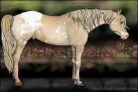 Horse Color:White Spotted Liver Chestnut Pearl Snowcap