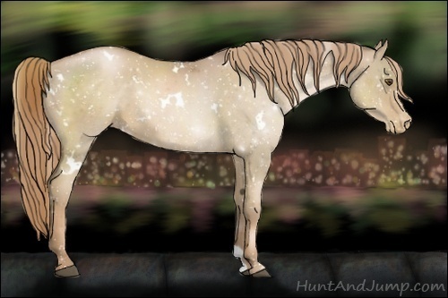 Horse Color:White Spotted Liver Chestnut Pearl Snowflake Varnish