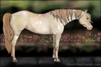 Horse Color:White Spotted Liver Chestnut Pearl Snowflake Varnish