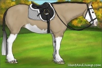 Horse Color:Liver Red Dun Splash