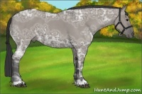 Horse Color:Grullo Ice Roan 