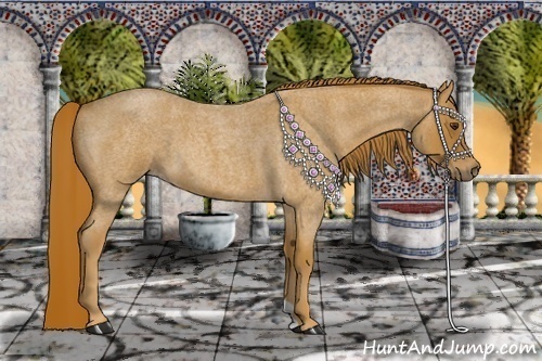 Horse Color:Red Roan 