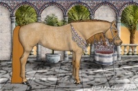 Horse Color:Red Roan 