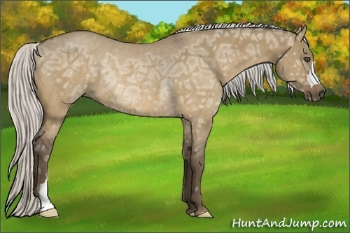 Horse Color:Silver Buckskin Ice Dun Rabicano 