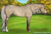 Horse Color:Silver Buckskin Ice Dun Rabicano 