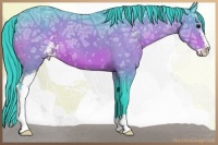 Horse Color:Watercolor Brown Ice Sabino Appaloosa 