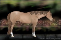 Horse Color:Black Pearl