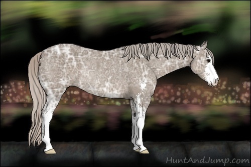 Horse Color:Silver Grullo Ice Sabino Rabicano 