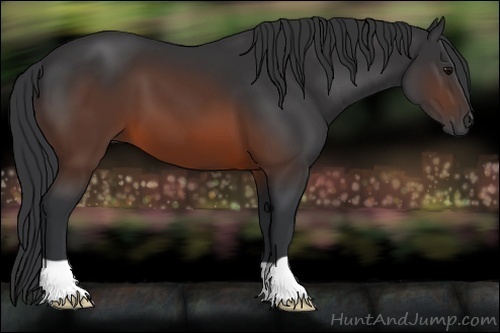 Horse Color:Brown 