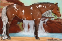 Horse Color:White Spotted Silver Bay Varnish 