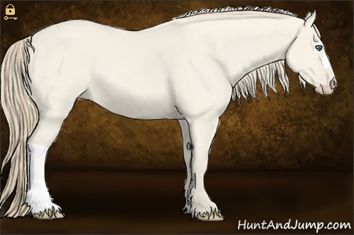 Horse Color:Smoky Creme Dun 