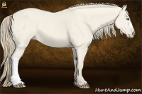 Horse Color:Smoky Creme Dun