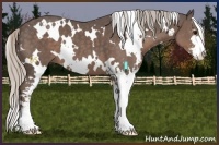 Horse Color:White Spotted Silver Black Sabino 