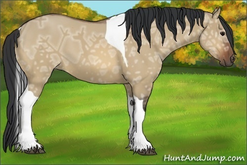 Horse Color:Bay Ice Dun Tobiano 