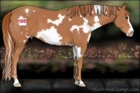 Horse Color:White Spotted Chestnut Frame