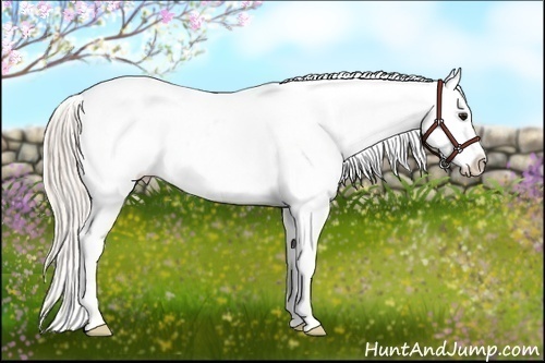 Horse Color:Silver Bay Tobiano Snowflake Varnish