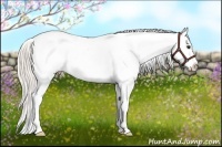 Horse Color:Silver Bay Tobiano Snowflake Varnish