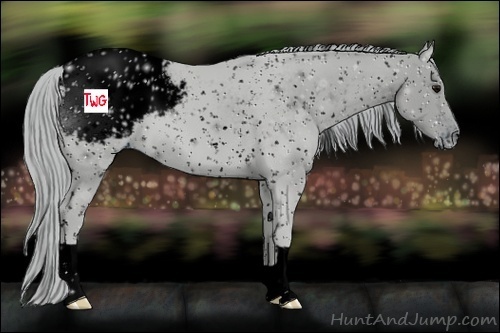 Horse Color:ERROR: UNKNOWN ANOMALY