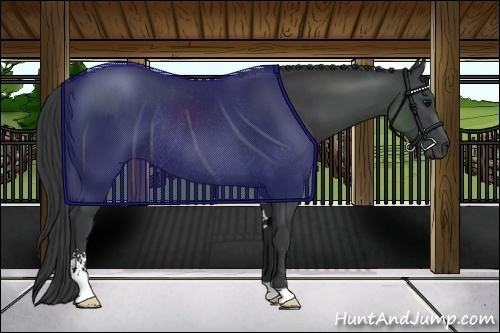 Horse Color:Black Sabino Rabicano 