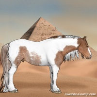 Horse Color:Chestnut Tobiano Rabicano 