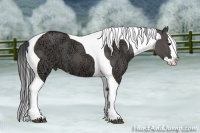 Horse Color:Grullo Ice Splash Tobiano
