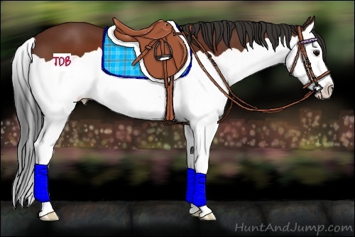 Horse Color:Brown Splash