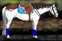 Horse Color:Brown Splash