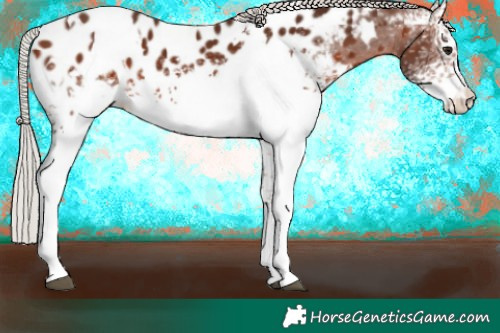 Horse Color:White Spotted Silver Brown Blanket 