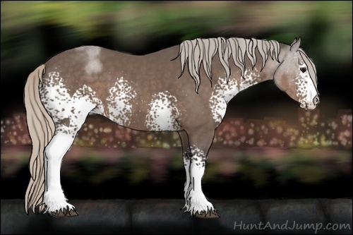 Horse Color:White Spotted Silver Black Sabino