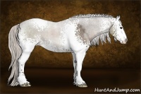 Horse Color:White Spotted Silver Black 