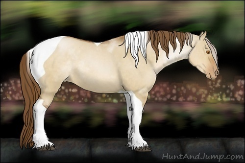 Horse Color:Brown Pearl Dun Sabino Tobiano 