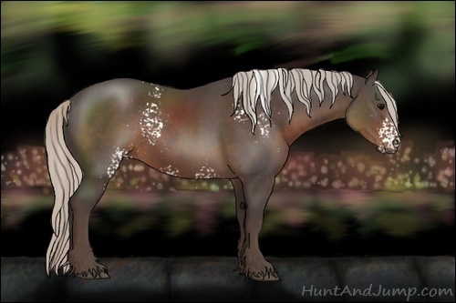 Horse Color:White Spotted Silver Black