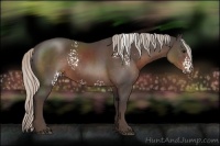 Horse Color:White Spotted Silver Black 