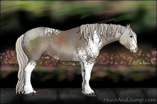 Horse Color:White Spotted Silver Black 