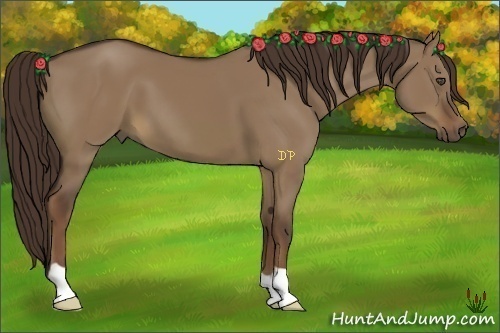 Horse Color:Liver Red Dun 