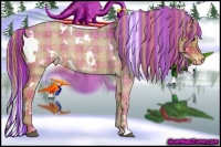 Horse Color:Painted Plaid White Spotted Red Roan Appaloosa