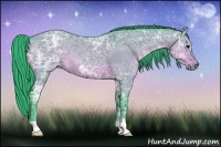 Horse Color:Watercolor Brown Ice Dun 