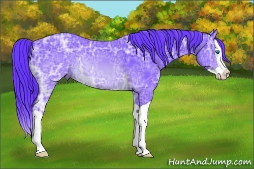 Horse Color:Watercolor Brown Ice Splash 