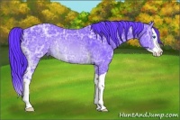Horse Color:Watercolor Brown Ice Splash 