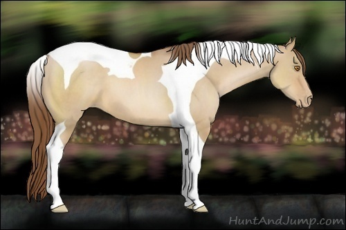 Horse Color:Brown Pearl Dun Tobiano