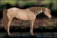 Horse Color:Brown Pearl