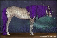 Horse Color:Painted Buckskin Ice Onyx 