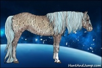 Horse Color:Painted Silver Buckskin Ice Onyx 
