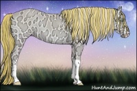 Horse Color:Painted Perlino Ice Onyx 