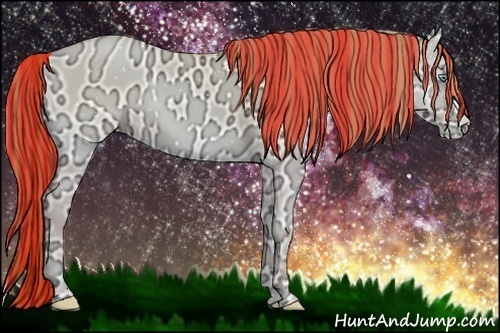 Horse Color:Painted Buckskin Ice Pearl Onyx