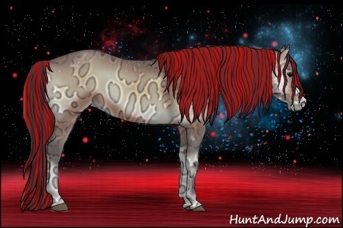 Horse Color:Painted Buckskin Ice Onyx 