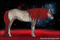 Horse Color:Painted Buckskin Ice Onyx 