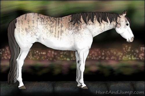 Horse Color:White Spotted Blue Onyx and White Spotted Amber Champagne Onyx